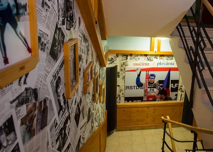 K. Neumannove * Stachy